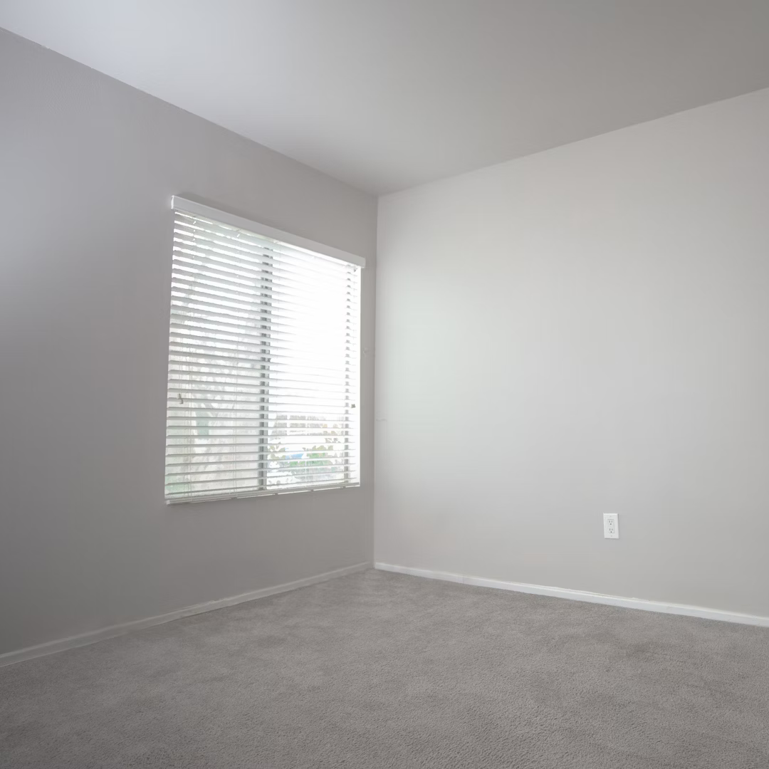 white room with grey carpet cleaning Katy TX by Golden Wand